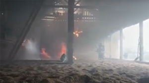 В Витебском районе горел зерноочистительно-сушильный комплекс, спасено 7 тонн семян