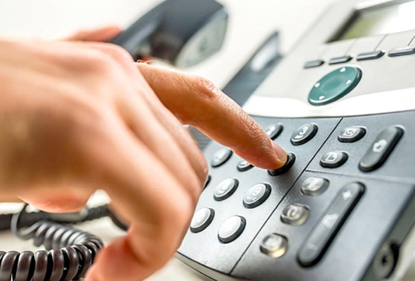 Круглый стол и прямую линию проведут областная инспекция охраны животного и растительного мира и Минское ГПЛХО