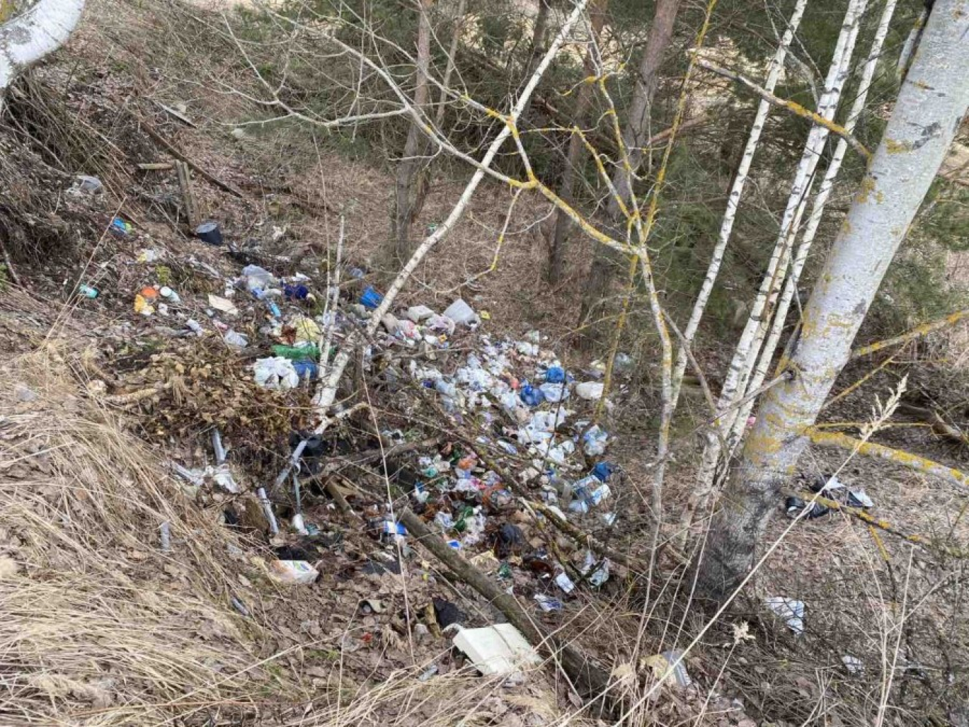 Одни убирают, а другие - соррят!