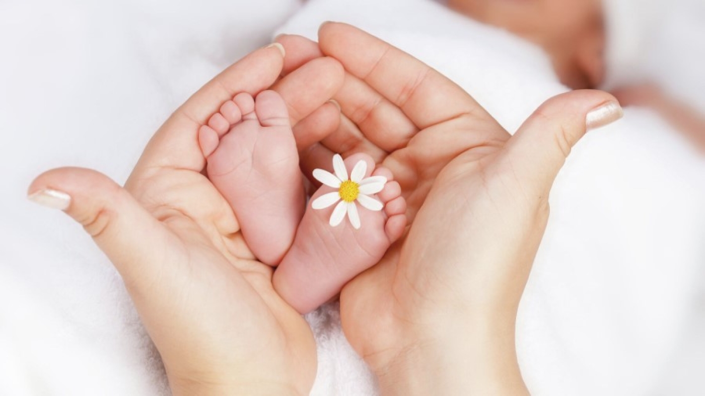 Информация отдела ЗАГС