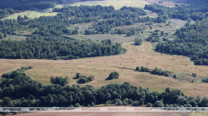 Запреты на посещение лесов действуют почти на всей территории Беларуси