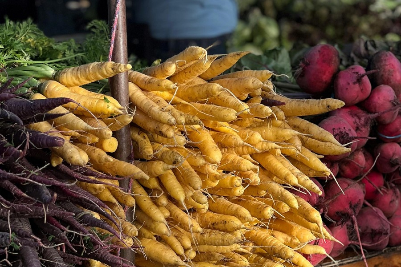 Узнали, в чем польза корнеплодов и в каком овоще содержится треть суточной нормы витамина С