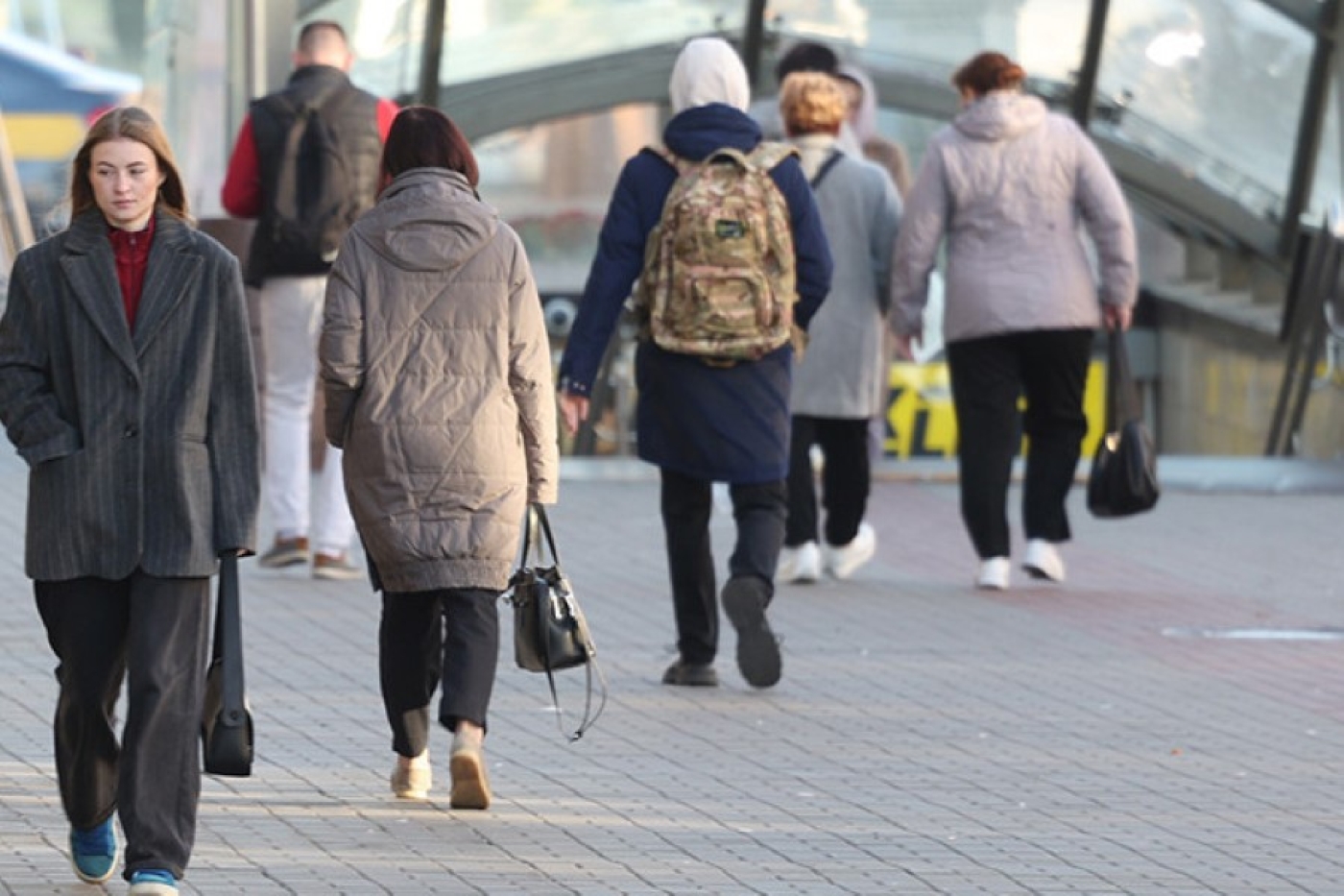 Когда может пройти пробная перепись населения Беларуси? Опубликован законопроект