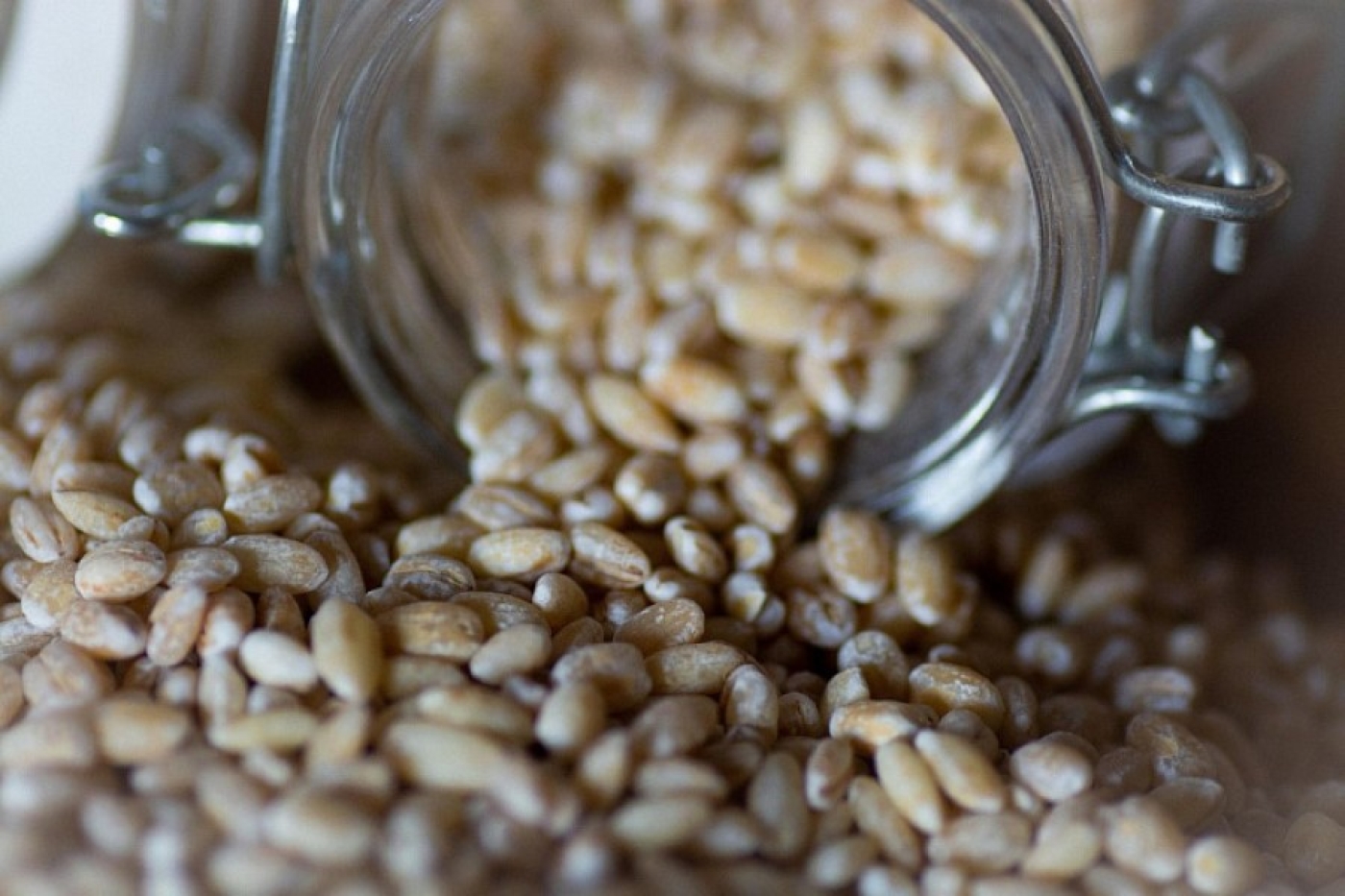 Навсегда прогоните жучков из круп: гениальный и простой лайфхак