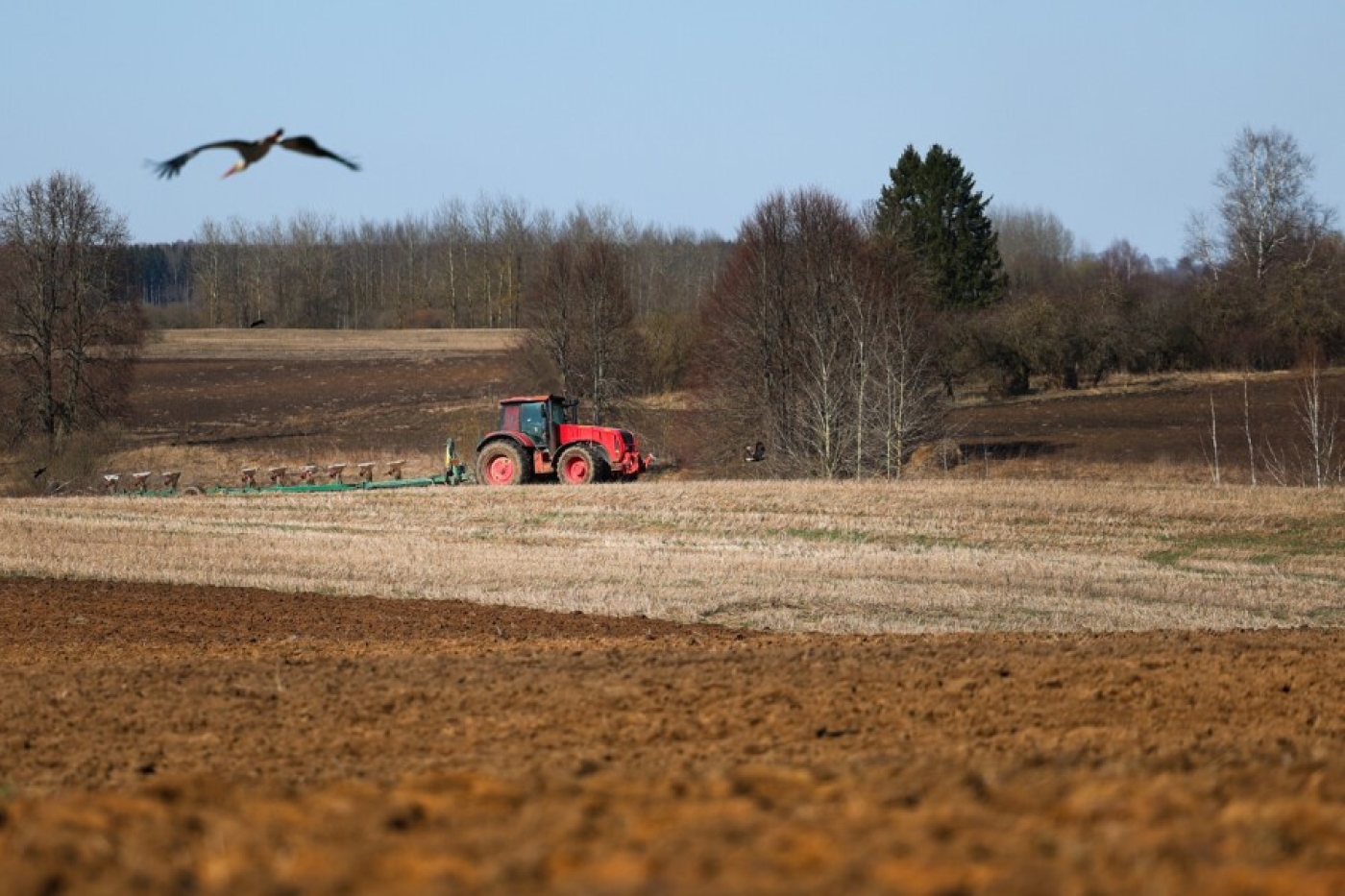 Кушнаренко про посевную в Минской области: ставка сделана на сев озимых культур