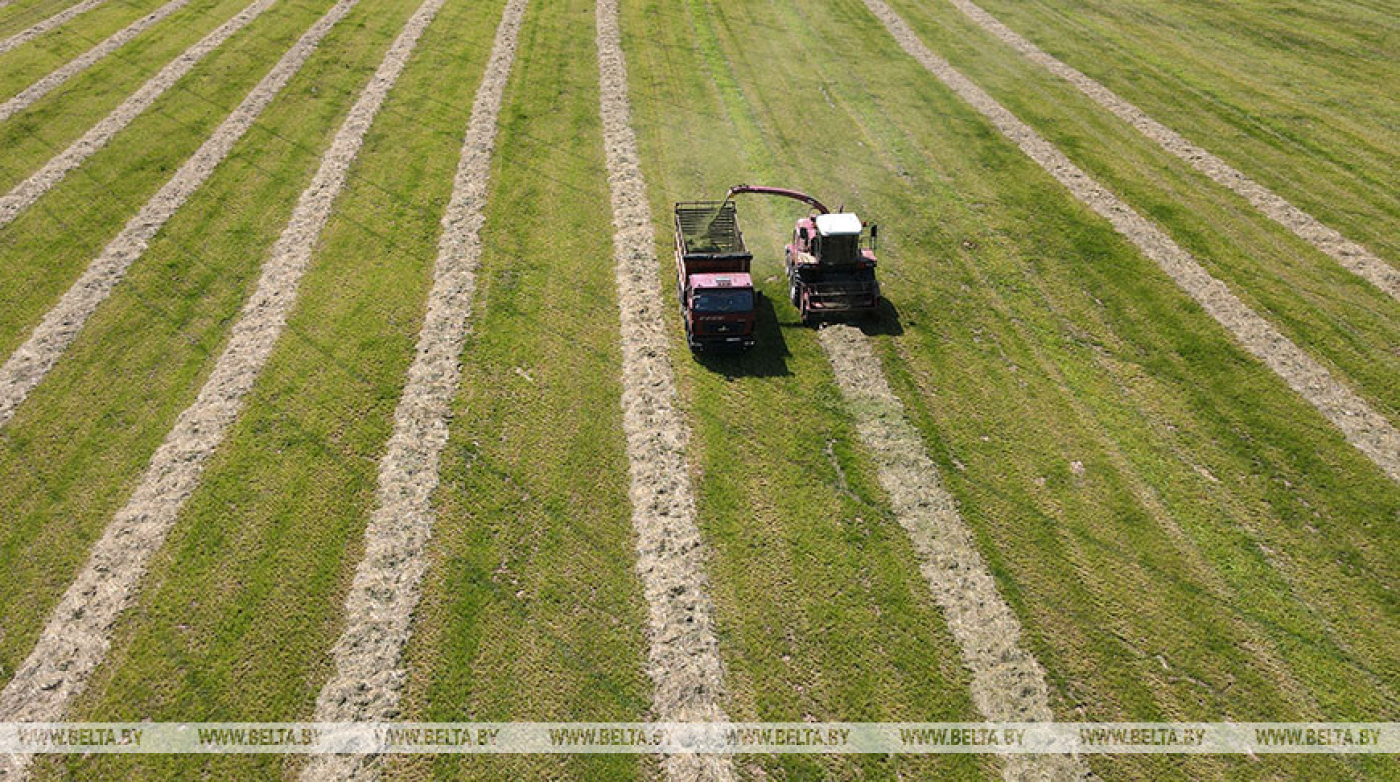 Травы второго укоса в Беларуси скошены почти на 83 тыс. га