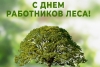 Уважаемые ветераны лесной отрасли! Примите искренние поздравления и самые тёплые пожелания с профессиональным праздником – Днём работников леса!