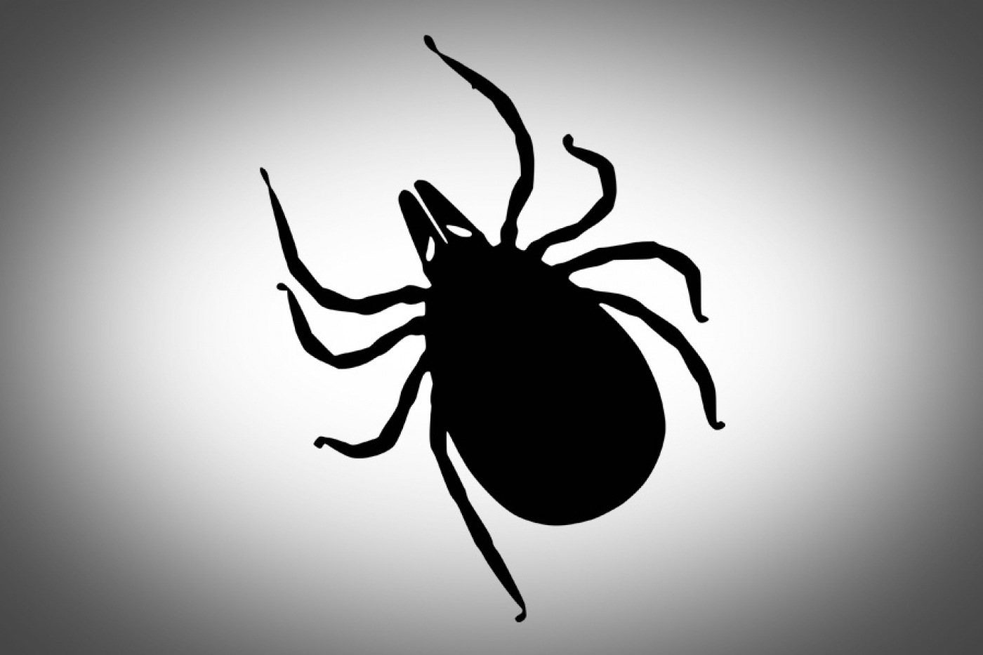 Как защититься от клещей