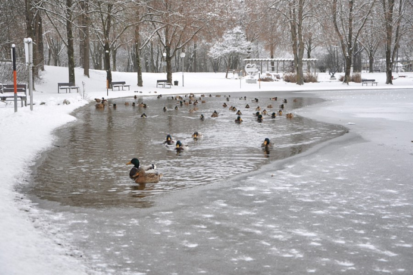 В Беларуси потепление: узнали, что будет с уровнем воды в реках