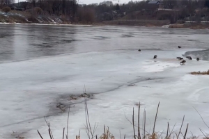 Двое подростков в Гродно провалились под лед во время фотосессии на Немане