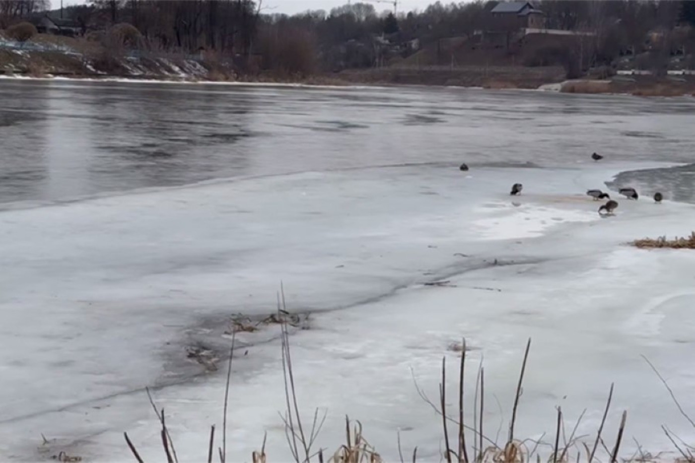 Двое подростков в Гродно провалились под лед во время фотосессии на Немане