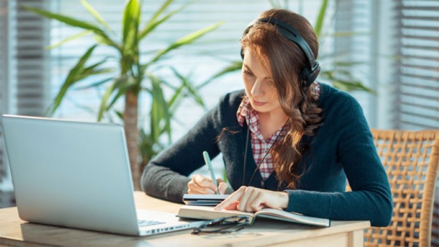 В Минобразования будет работать «горячая линия» по выявлению привлечения третьих лиц к выполнению курсовых и дипломных работ