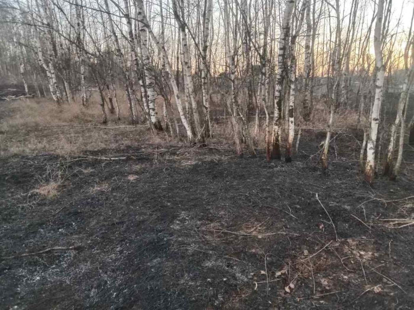 За сутки – четыре пожара сухой растительности в районе