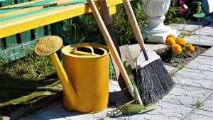 В Беларуси за прошлый год высажено более 340 тыс. деревьев и более 570 тыс. кустарников