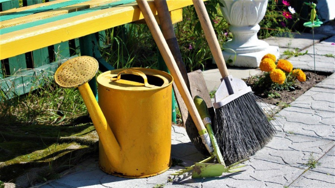 В Беларуси за прошлый год высажено более 340 тыс. деревьев и более 570 тыс. кустарников