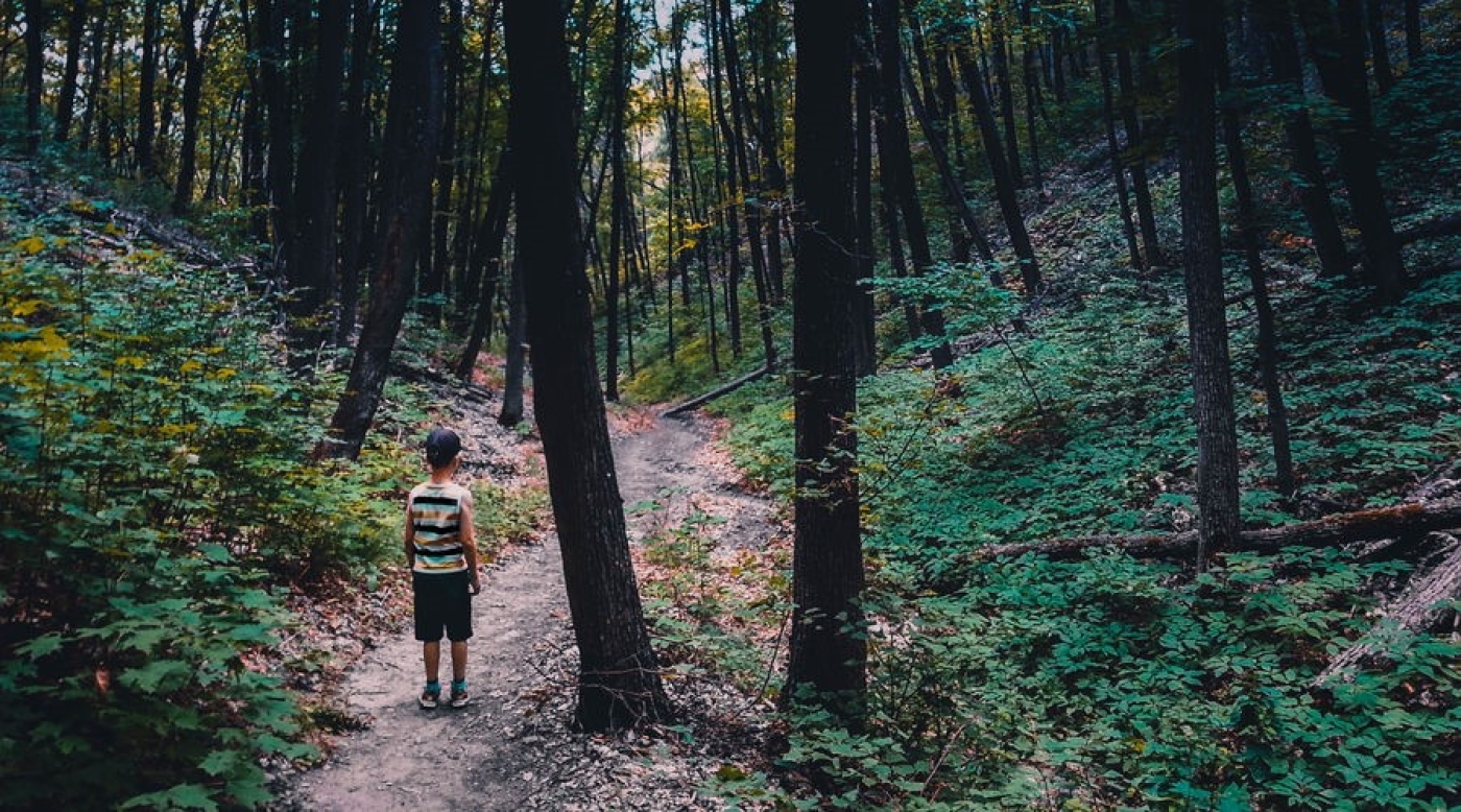 Если ребенок потерялся в лесу: что нужно знать родителям, чтобы избежать трагедии