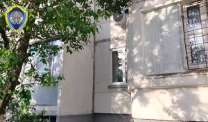 Девятилетний мальчик выпал из окна третьего этажа в Гомеле, он в реанимации