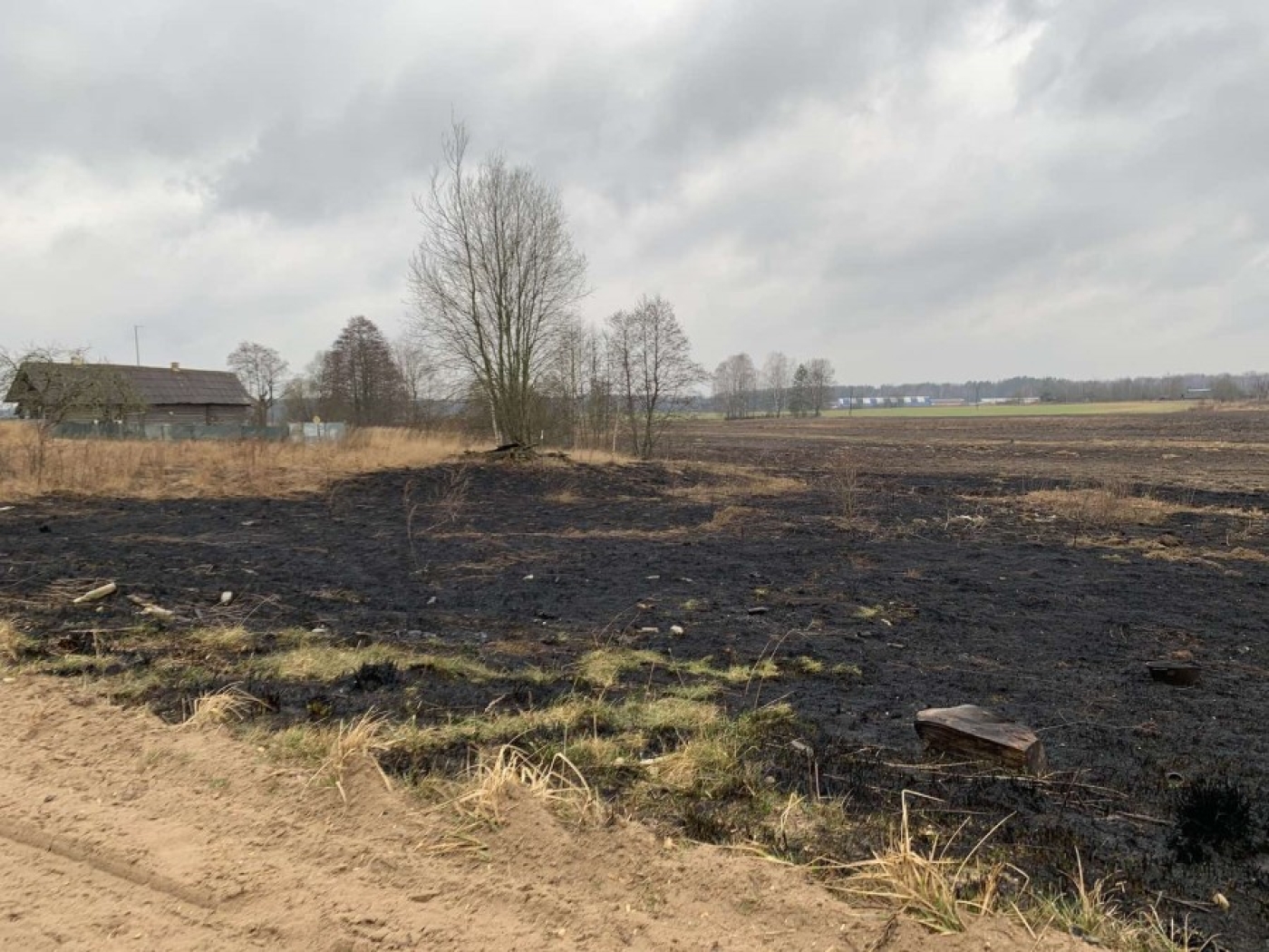 За неделю в Березинском районе произошло 5 загораний сухой растительности