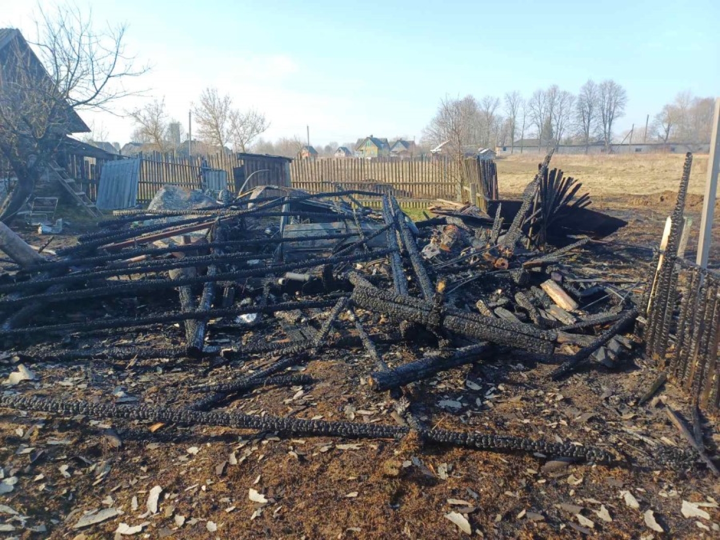 Женщины тут не при чем