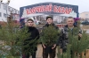В Минской области откроется 216 площадок для реализации новогодних деревьев