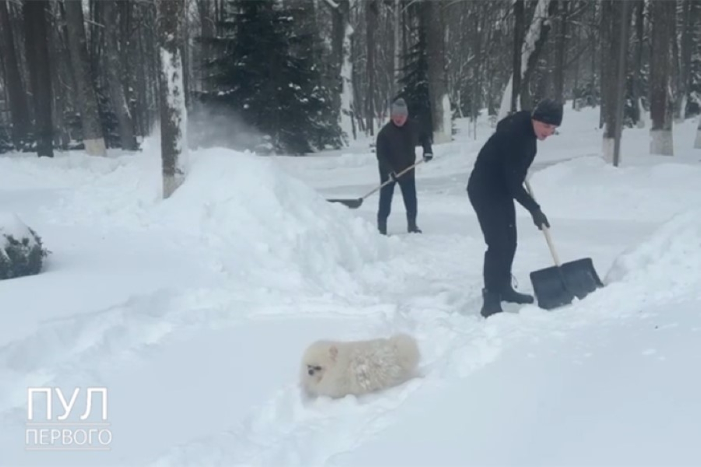 Президент лично взялся за расчистку снежных сугробов