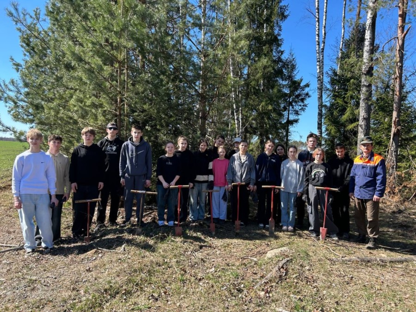 Дай лесу новае жыццё: учащиеся средней школы №2 класс высадил 4000 саженцев в рамках республиканской акции