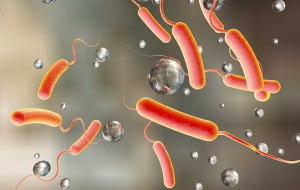 Профилактика холеры