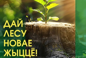 «Дай лесу новае жыццё!»