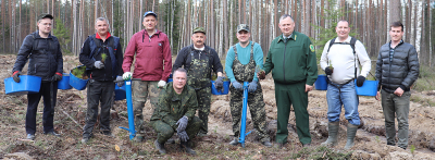 Работники райисполкома посадили лес