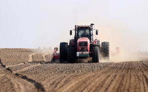 Аграрии Беларуси закончили посадку овощей