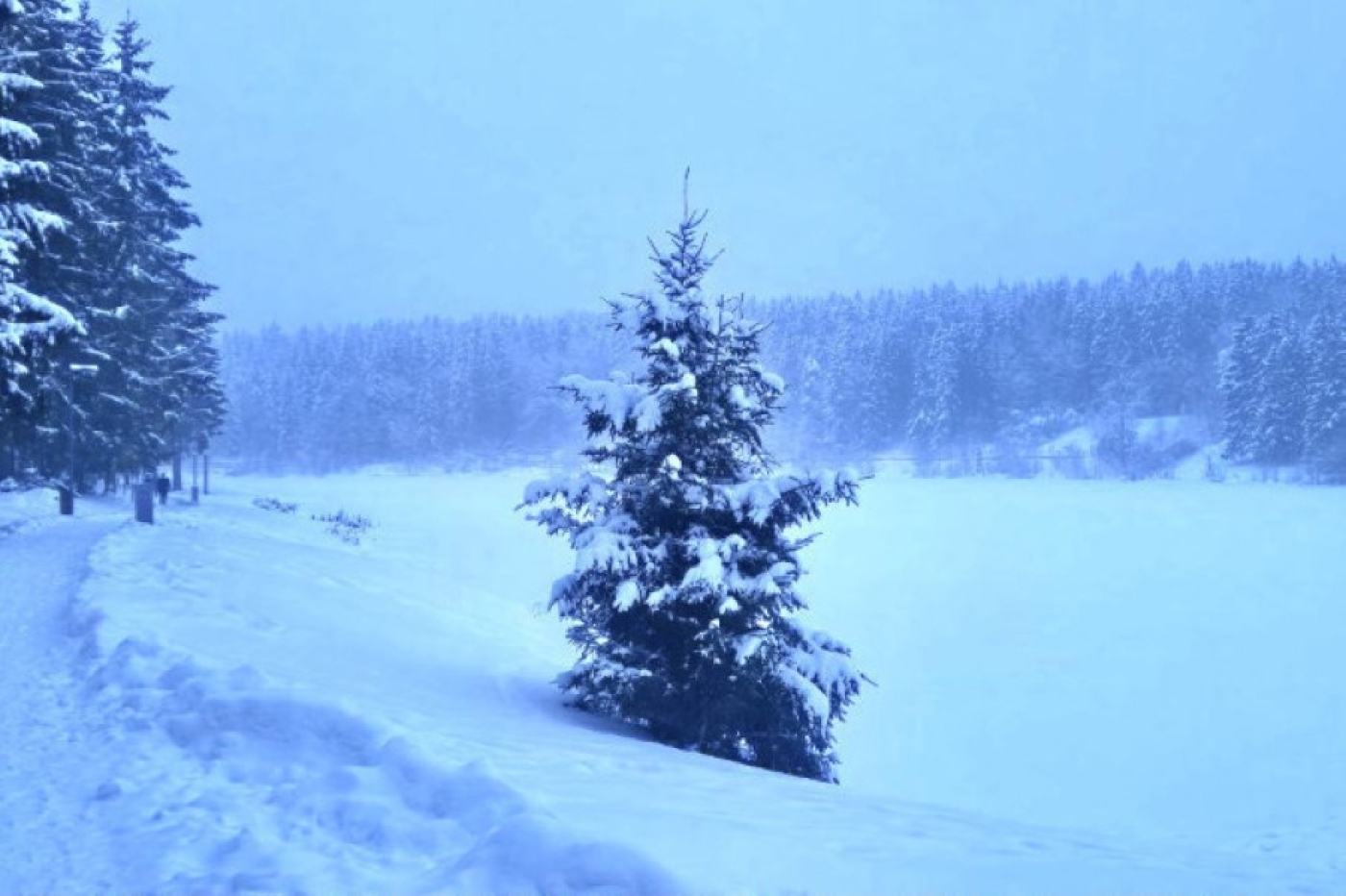 Облачно, местами сильный снег. Какой будет погода в Беларуси сегодня