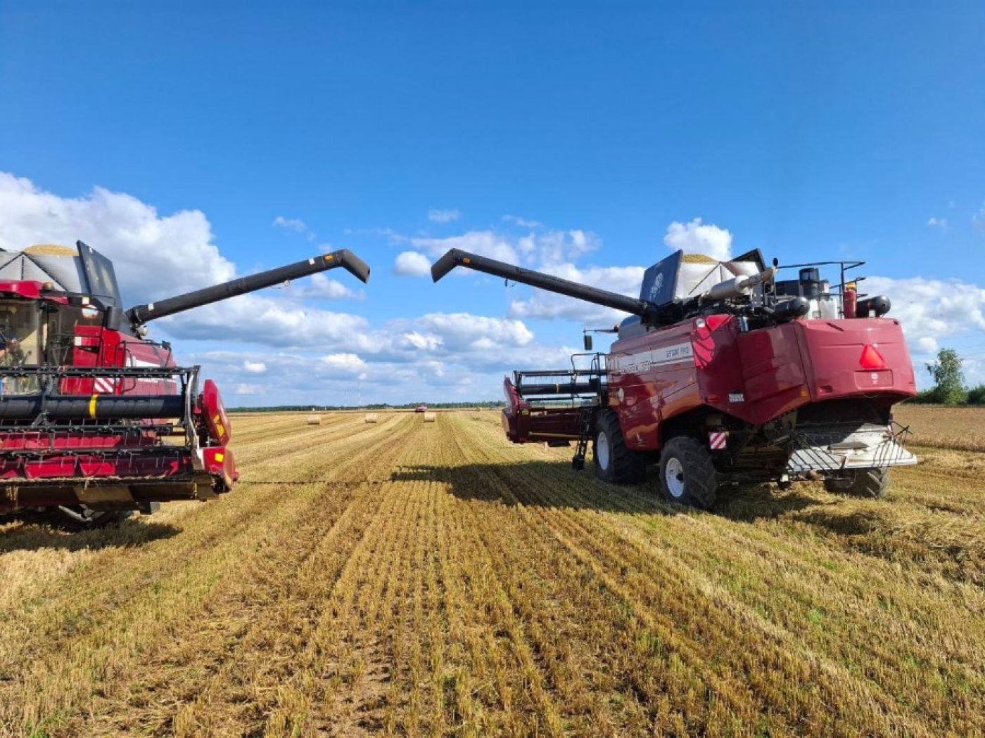 Уборка урожая в СУП «АгроМаз» идет полным ходом!