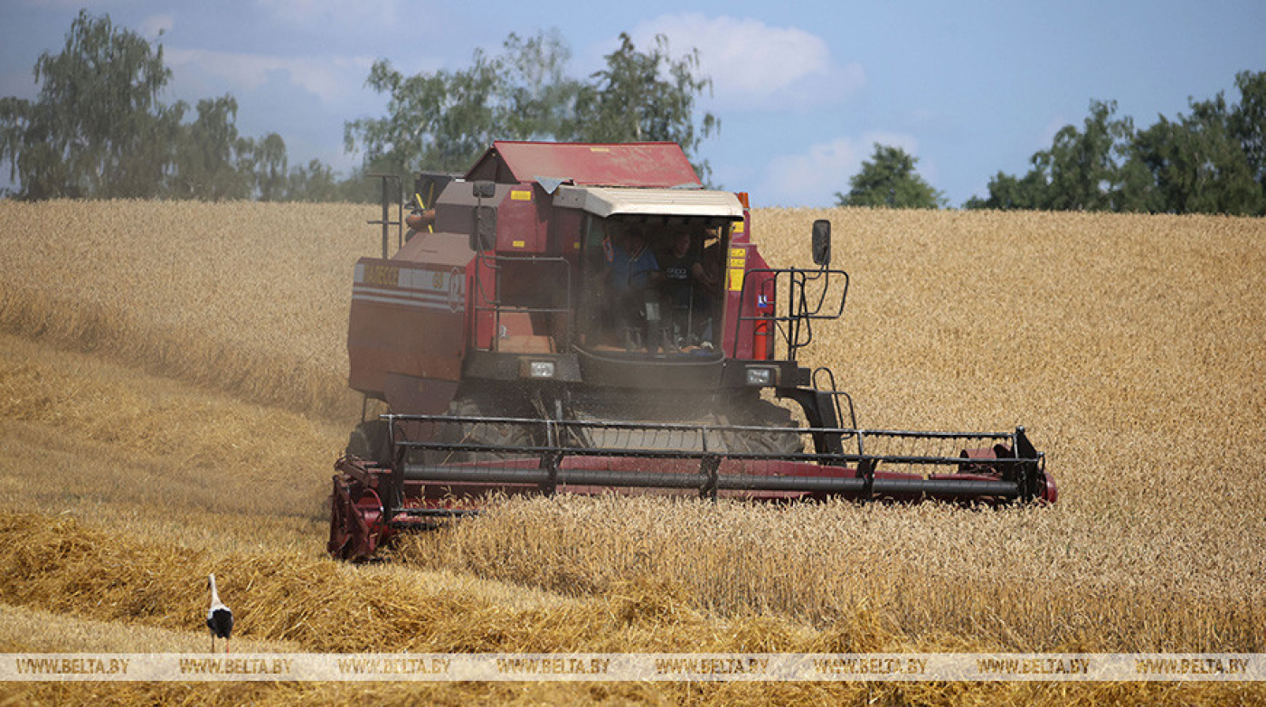 Месячники по безопасности труда во время уборочной проходят в Беларуси