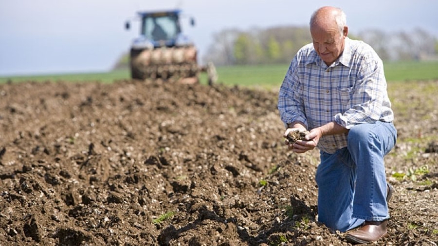 Число фермеров в Беларуси продолжает расти, но какой их удельный вес в сельхозпроизводстве?