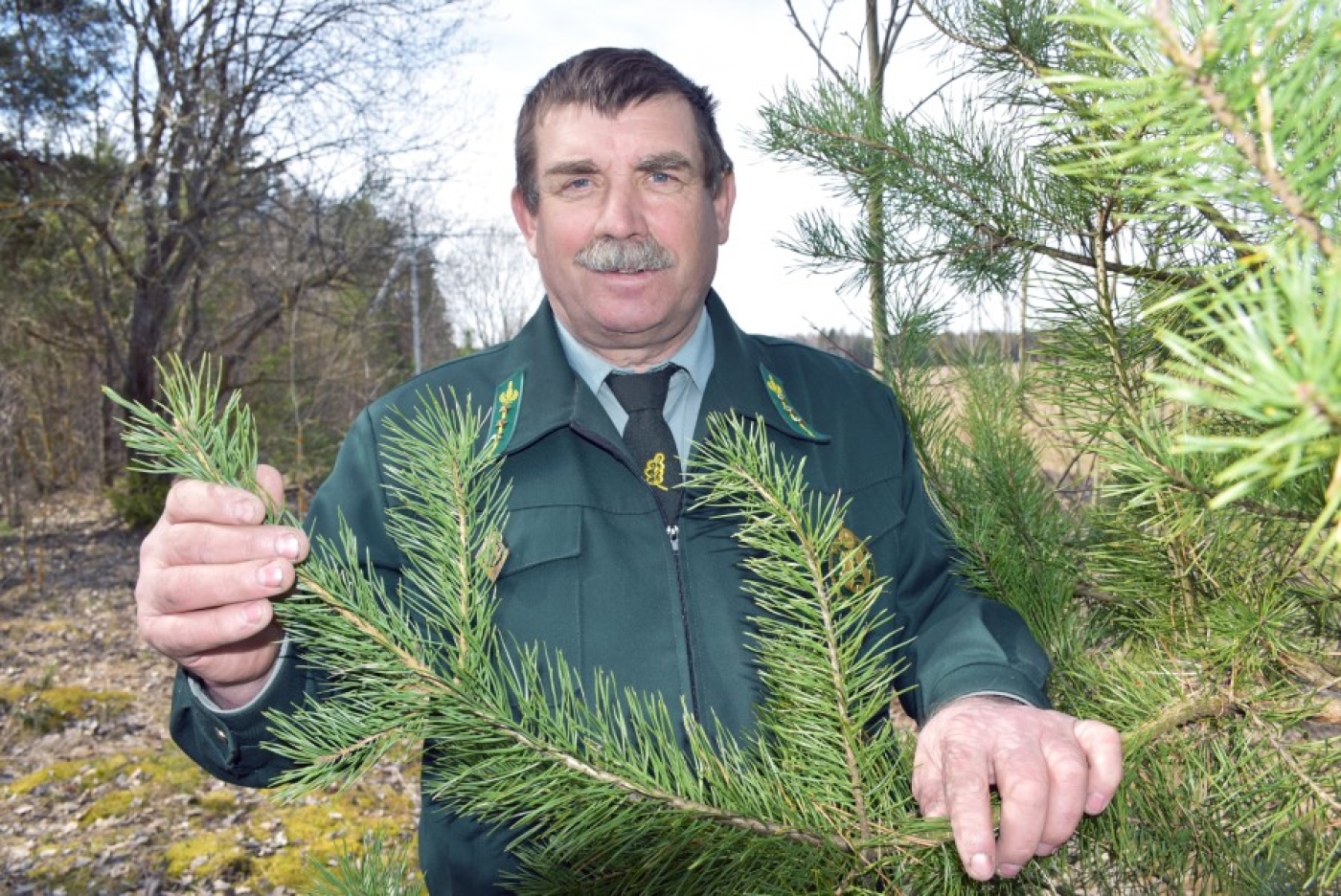 «У мядзведжым куце»