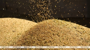 Лукашенко выступил за более активное участие "семьи ШОС" в решении глобальных вопросов продбезопасности