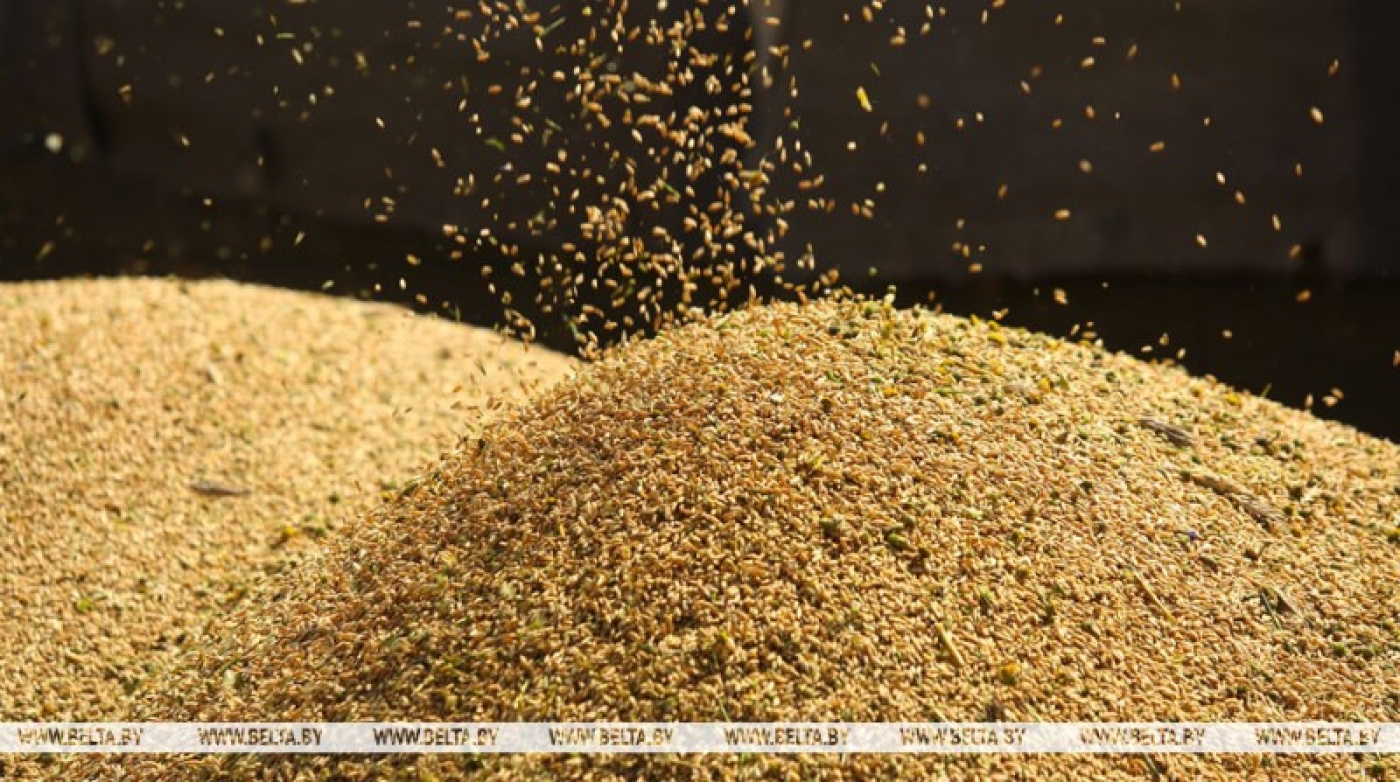 Лукашенко выступил за более активное участие "семьи ШОС" в решении глобальных вопросов продбезопасности