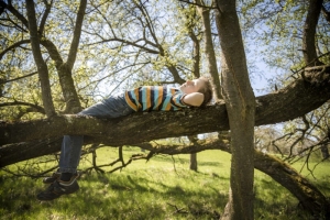 Длинные выходные: как будут работать на Радуницу и майские в Беларуси