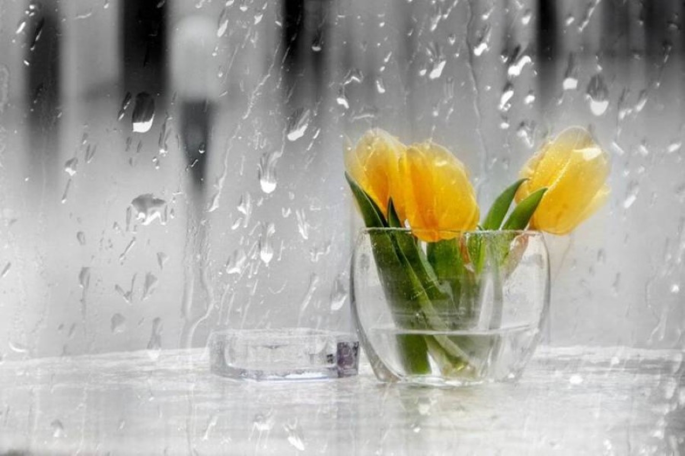 Погода 13 марта: усиление ветра, дожди и до +19 °С