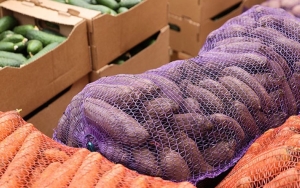 Грибы, клюква, овощи. Белкоопсоюз рассказал о закупках продукции у населения