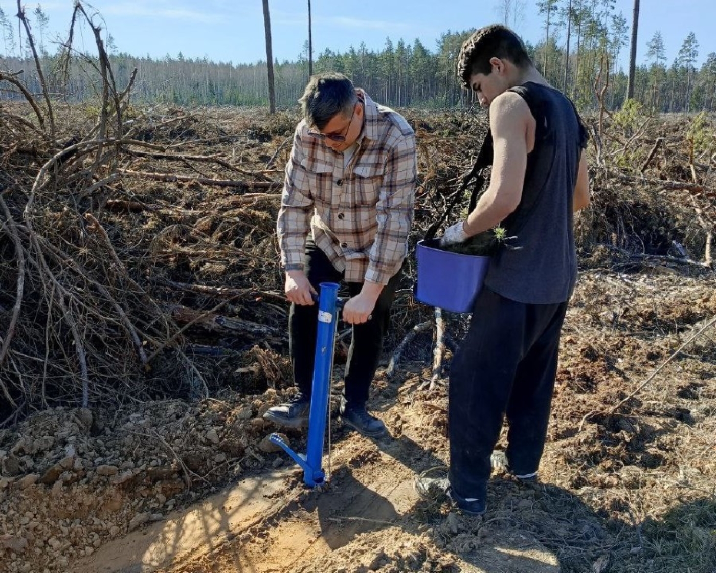 Акция “Дай лесу новае жыццё!”: Бродецкое школьное лесничество в деле