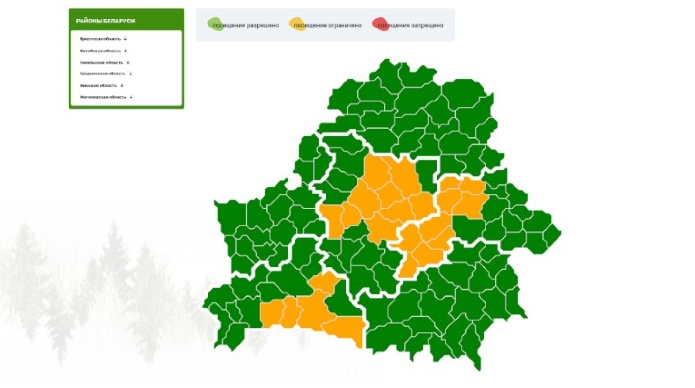 Ограничения на посещение лесов действуют в 23 районах Беларуси