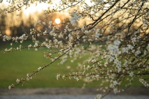 Переменчивое настроение у весны? Прогноз погоды на 23-29 марта от Дмитрия Рябова