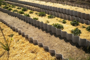 Опасен ли шифер для огорода – разбираем все риски