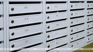 Что делать, если не пришло извещение на уплату имущественных налогов? Разъяснили в МНС