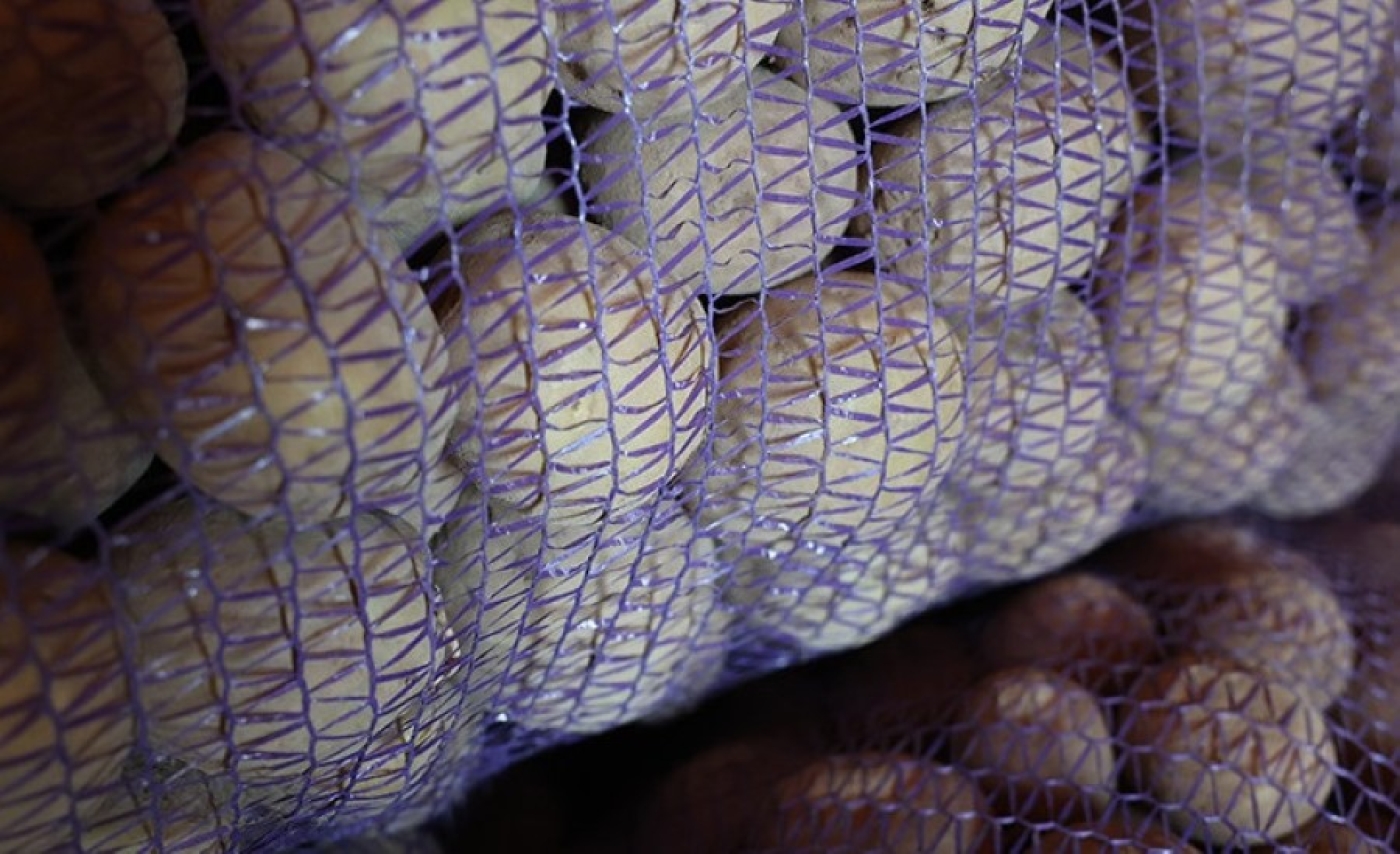 Как пожилые и инвалиды могут получить бесплатную доставку овощей, рассказали в Минтруда