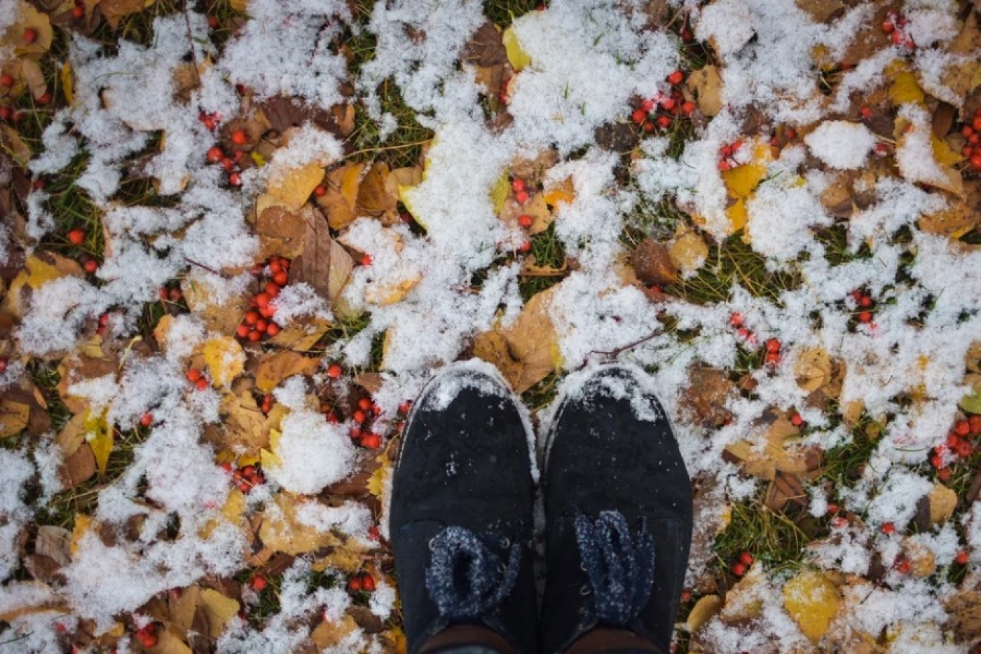 Погода 5 декабря: временами дожди и до +8 °С