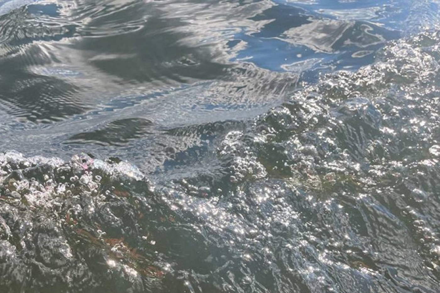 В Беларуси в этом году число утонувших снизилось на четверть, спасены более 200 человек