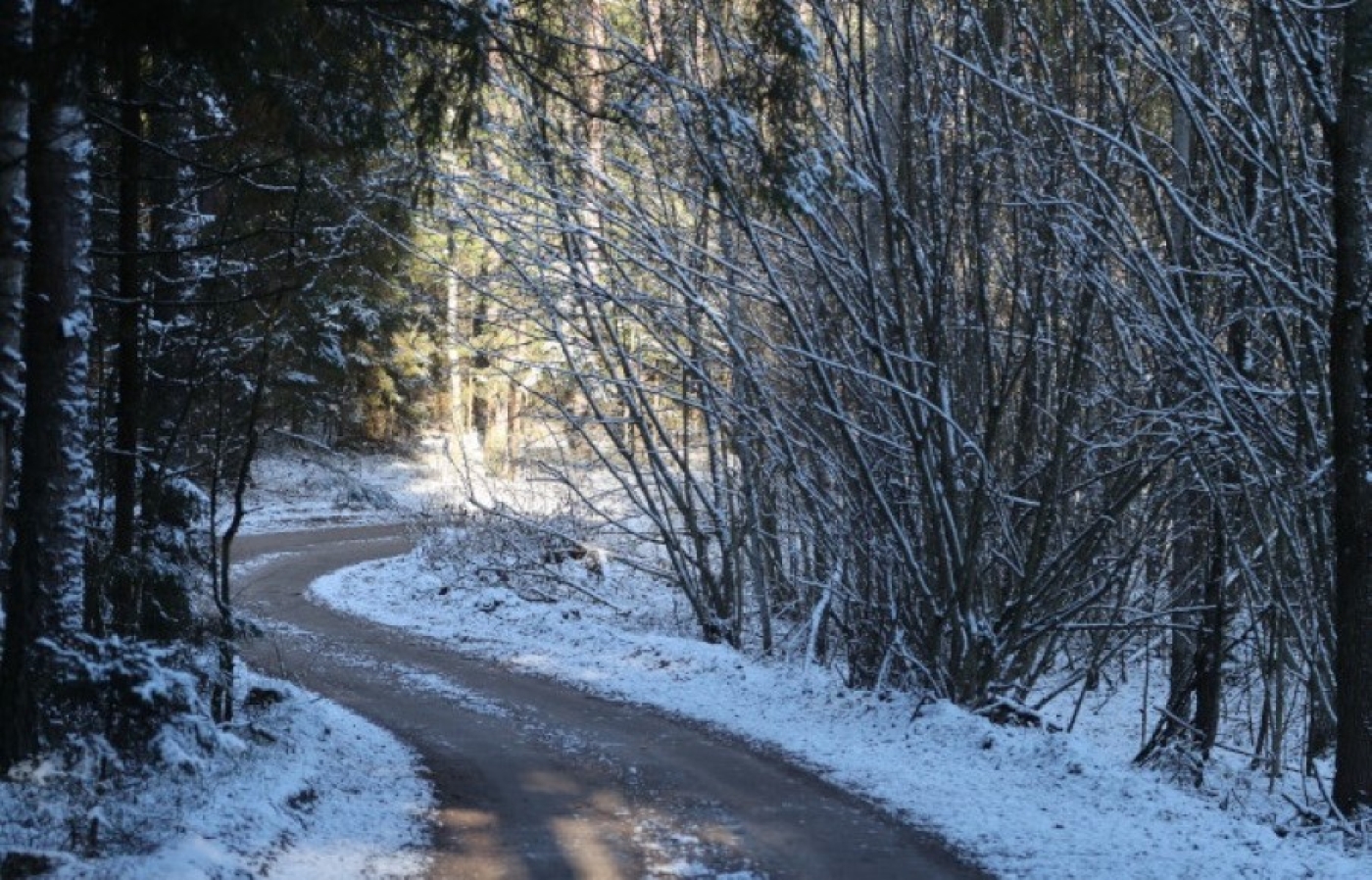 Как изменилась белорусская зима? Оценки климатологов