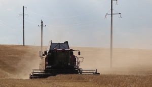 Минсельхозпрод: в уборке зерна будут задействованы более 7 тыс. комбайнов
